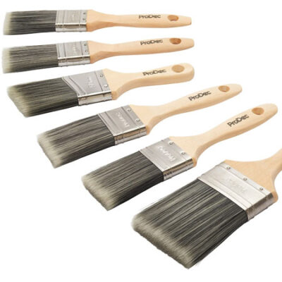 Protech Paint Brush